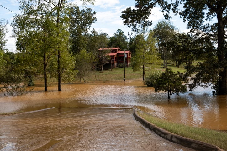 Flooded Farmland